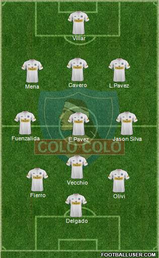 CSD Colo Colo Formation 2013