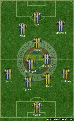 Fenerbahçe SK Formation 2013