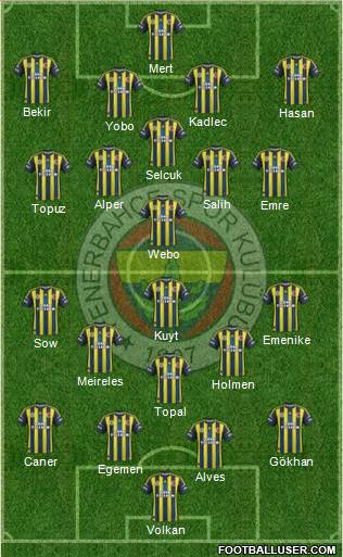 Fenerbahçe SK Formation 2013
