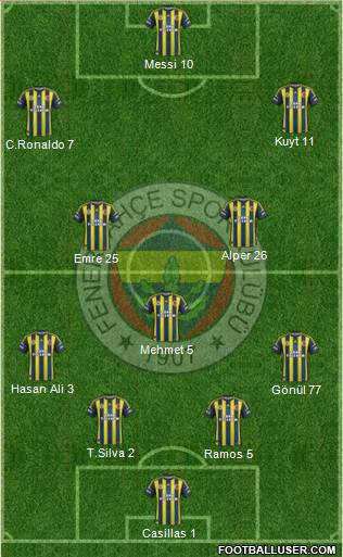 Fenerbahçe SK Formation 2013