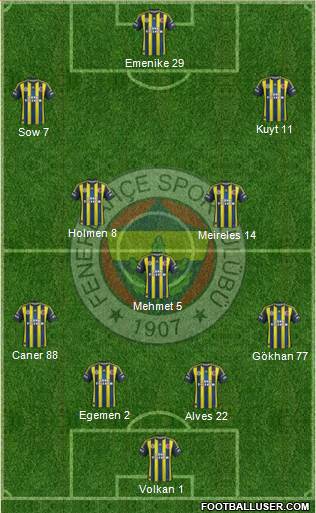 Fenerbahçe SK Formation 2013