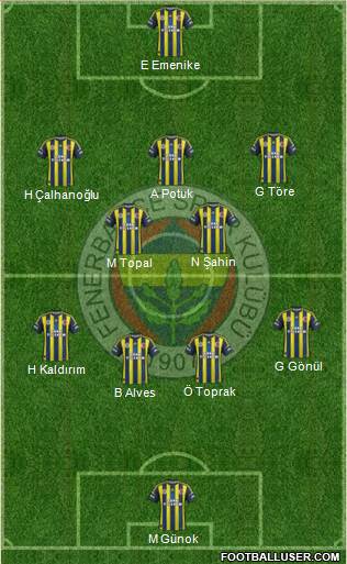 Fenerbahçe SK Formation 2013
