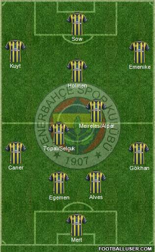 Fenerbahçe SK Formation 2013