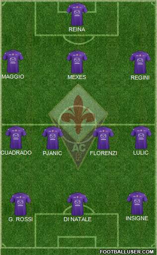 Fiorentina Formation 2013