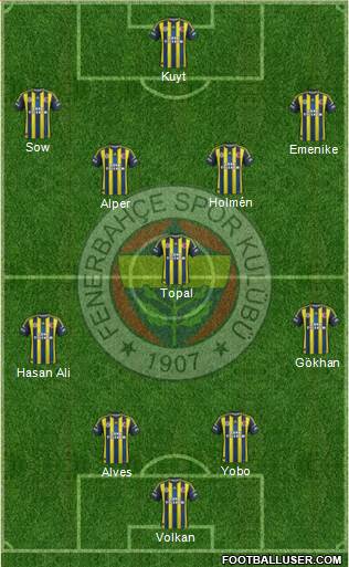 Fenerbahçe SK Formation 2013