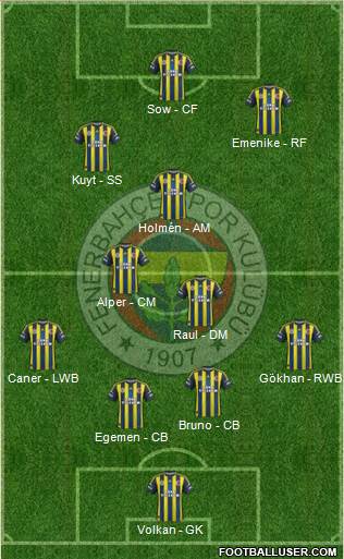Fenerbahçe SK Formation 2013