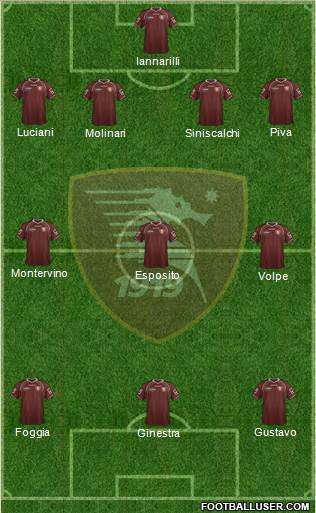 Salernitana Formation 2013