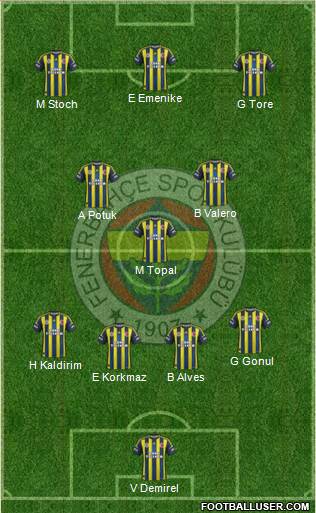 Fenerbahçe SK Formation 2013