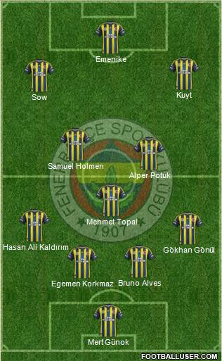 Fenerbahçe SK Formation 2013