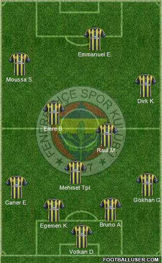 Fenerbahçe SK Formation 2013