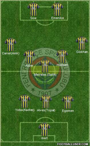 Fenerbahçe SK Formation 2013