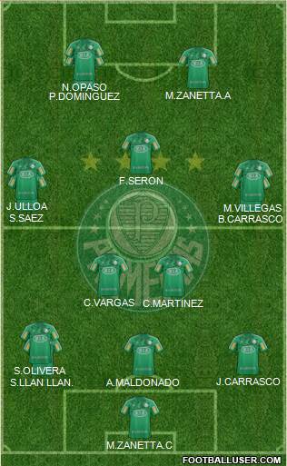 SE Palmeiras Formation 2013