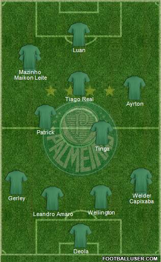 SE Palmeiras Formation 2013
