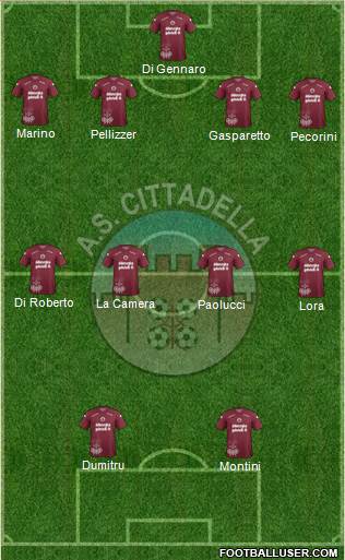 Cittadella Formation 2013