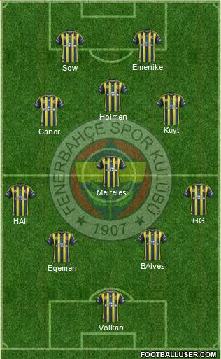 Fenerbahçe SK Formation 2013