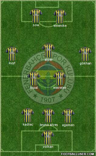 Fenerbahçe SK Formation 2013
