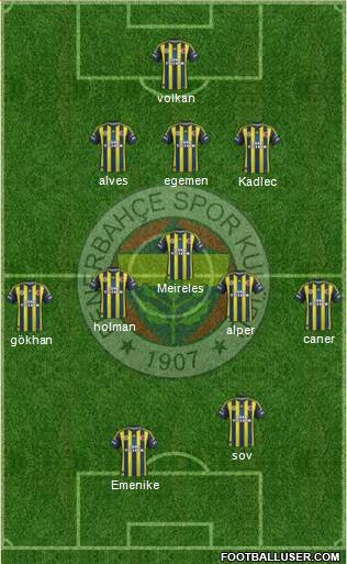 Fenerbahçe SK Formation 2013