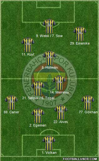 Fenerbahçe SK Formation 2013