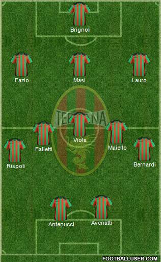 Ternana Formation 2013