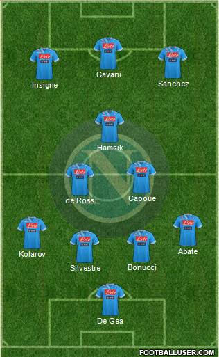 Napoli Formation 2013