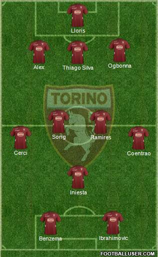 Torino Formation 2013