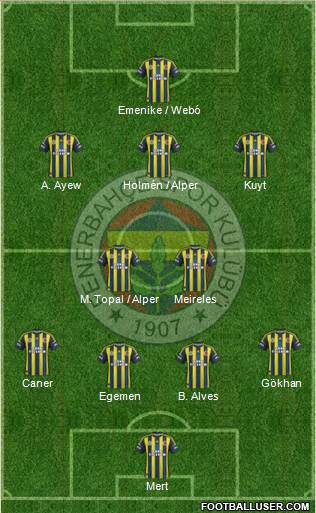 Fenerbahçe SK Formation 2013