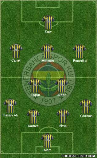 Fenerbahçe SK Formation 2013