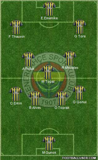 Fenerbahçe SK Formation 2013