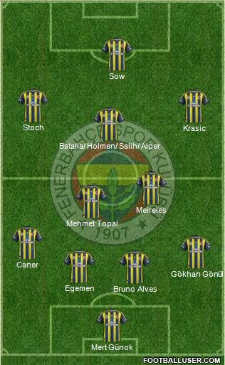 Fenerbahçe SK Formation 2013