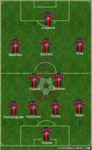 OGC Nice Côte d'Azur Formation 2013