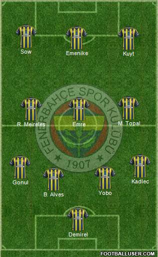 Fenerbahçe SK Formation 2013
