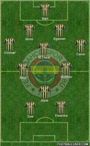 Fenerbahçe SK Formation 2013