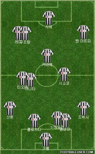 Newcastle United Formation 2013