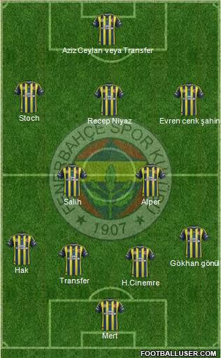 Fenerbahçe SK Formation 2013