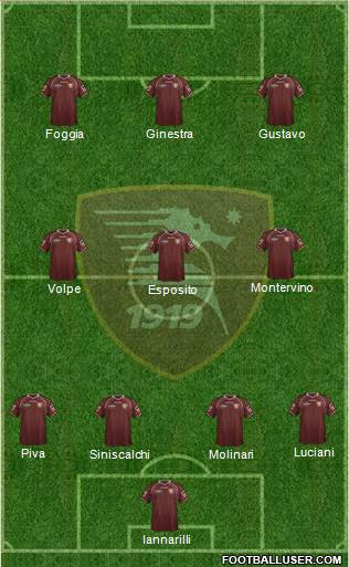 Salernitana Formation 2013