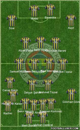 Fenerbahçe SK Formation 2013