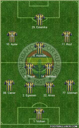Fenerbahçe SK Formation 2013