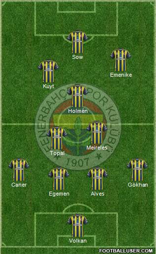 Fenerbahçe SK Formation 2013