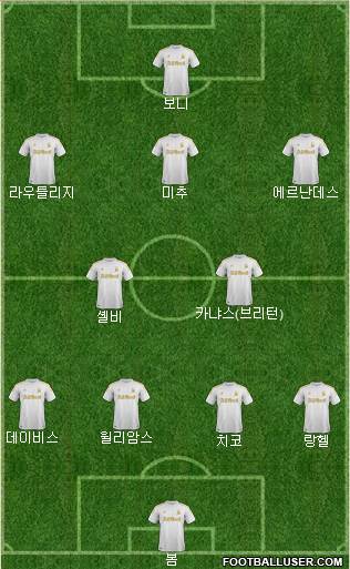 Swansea City Formation 2013