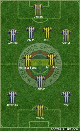Fenerbahçe SK Formation 2013