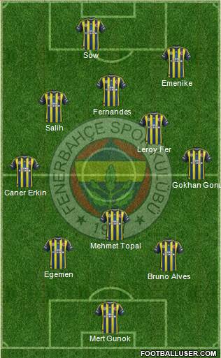Fenerbahçe SK Formation 2013