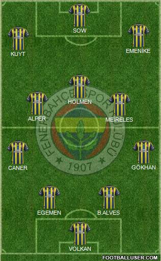 Fenerbahçe SK Formation 2013