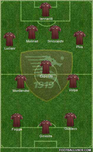 Salernitana Formation 2013