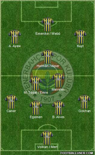 Fenerbahçe SK Formation 2013