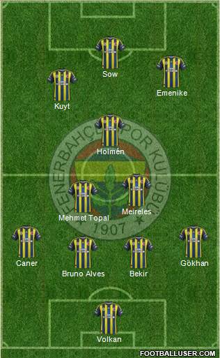 Fenerbahçe SK Formation 2013