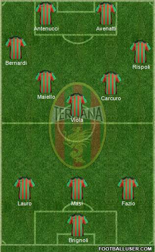 Ternana Formation 2013