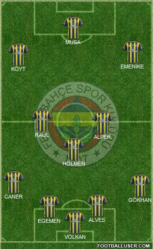 Fenerbahçe SK Formation 2013