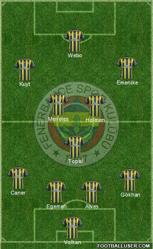 Fenerbahçe SK Formation 2013