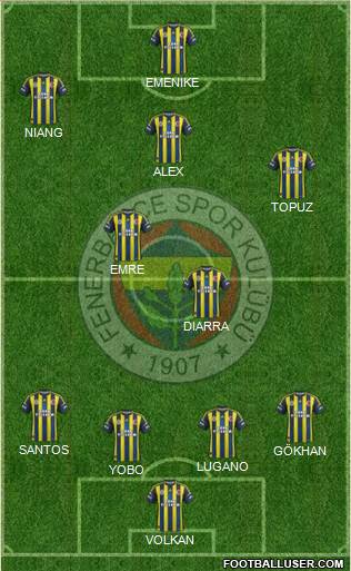 Fenerbahçe SK Formation 2013