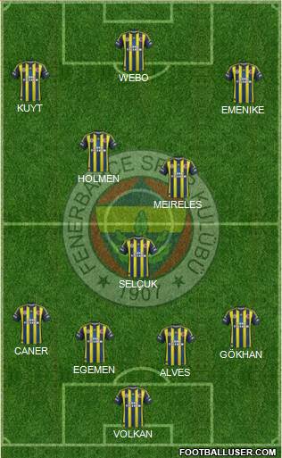 Fenerbahçe SK Formation 2013
